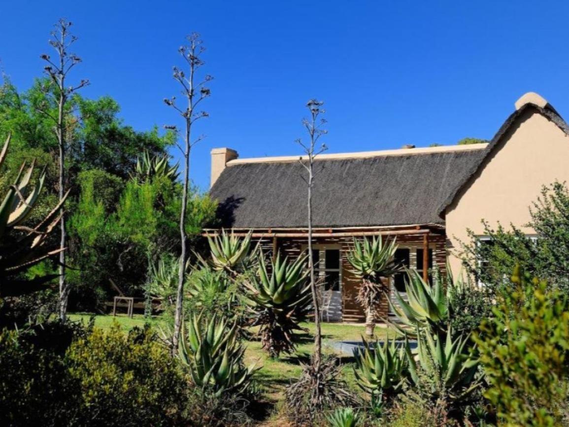 Mymering Wine & Guest Estate Ladismith Room photo