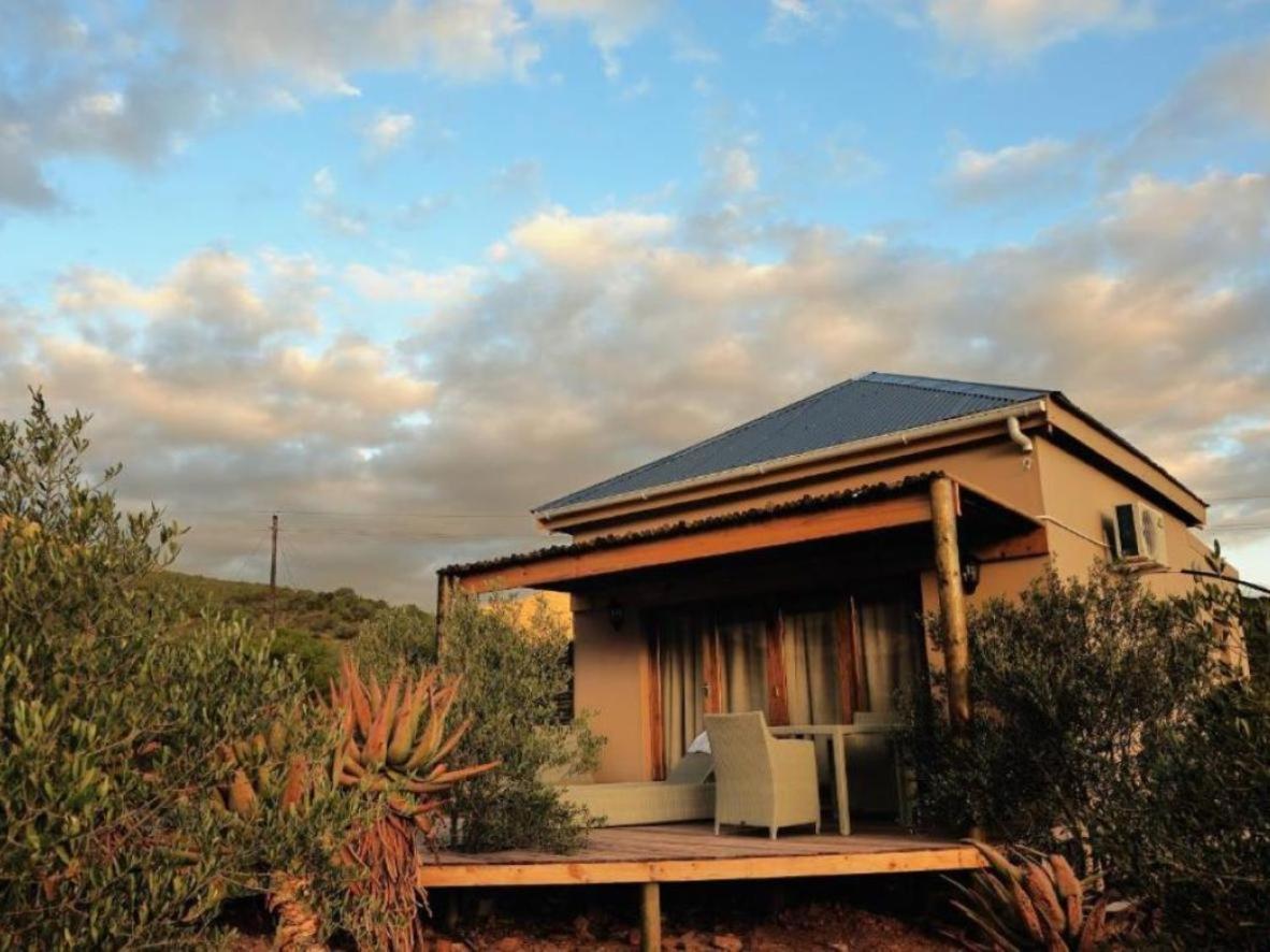 Mymering Wine & Guest Estate Ladismith Room photo
